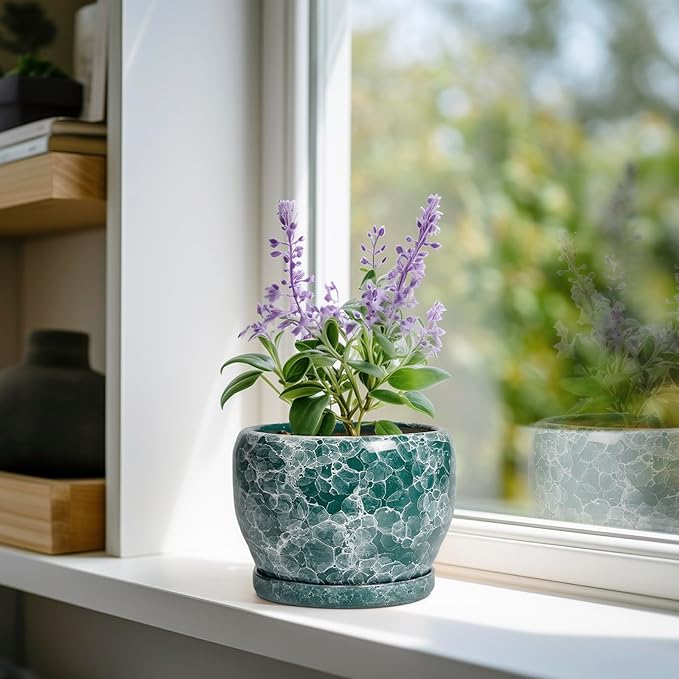 SQOWL Ceramic Pot for Plants - 6 Inch Ceramic Planter with Drainage Hole and Saucer, Round Flower Pot for Indoor Outdoor, Decorative Small Planter, Room Home Decor, Plant Lover Gifts, Green SQOWL