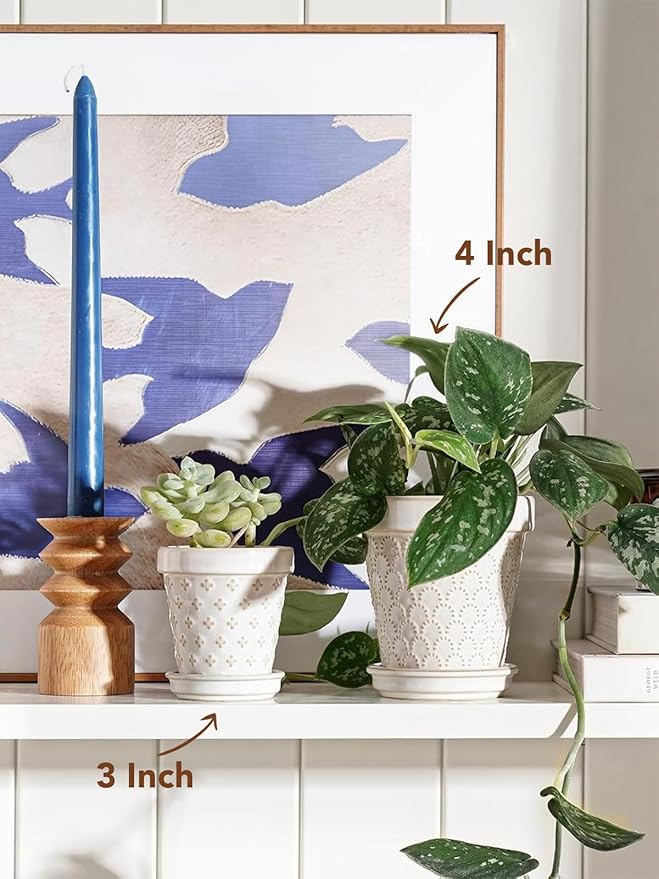 LE TAUCI 3 Inch Mini Succulent Pots - Very Small Ceramic Planter with Saucer, Tiny Embossed Flower Pots for Lithops, Mini Cactus, Air Plants, Fairy Gardens - Indoor Home Decor, Set of 4, Arctic White LETAUCI