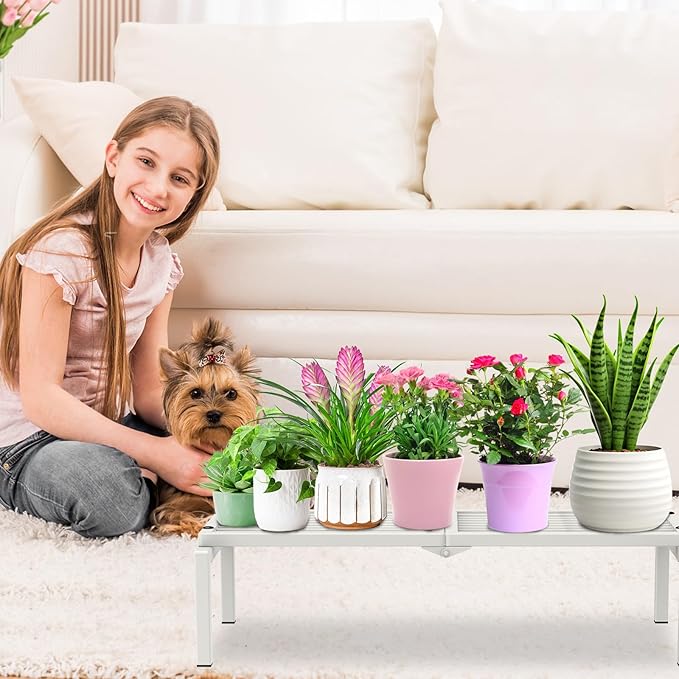 1 Tier Metal Plant Stand Indoor Outdoor, Potted Multiple Flower Pot Holder Rack Plant Shelf, Heavy Duty Planter Display Shelving for Patio Balcony Garden Living Room Decorative (White) Gouisalin