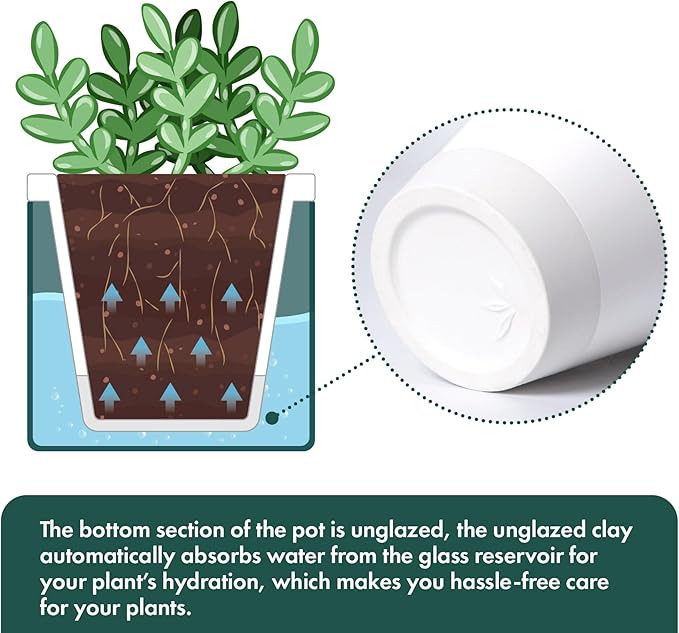 D'vine Dev 4 Inch Design Self Watering Planter for Indoor Plants, White Terracotta Pot with Teal Cylinder Glass Cup, Set of 3,37-Z-A-5-T DvineDevPlanterPotsandStand