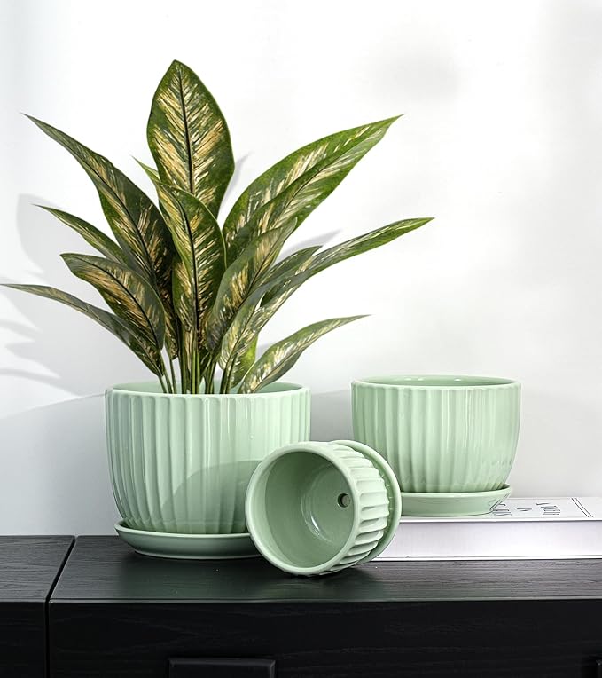 Ton Sin Flower Pots, Light Green Ceramic Plant Pots Set of 3,Small Glazed Succulent Pots with Drainage Hole,Cactus Planter with Saucer,Outdoor Garden Pots (Green) TonSin