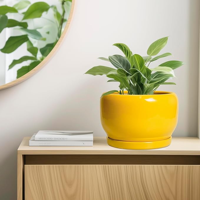 SQOWL 10 Inch Plant Pot - Ceramic Planter with Drainage Hole and Saucer, Modern Large Flower Pot for Indoor Outdoor Plants, Decorative Round Planter, Home Decor, Gifts for Gardeners Woman, Yellow SQOWL