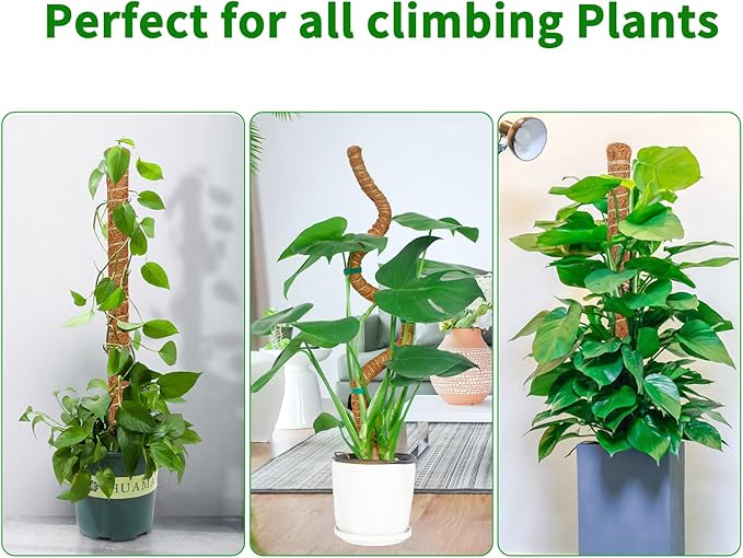 4 Pack 39 Inch Moss Pole Monstera Plant Support, Coir Moss Poles for Climbing Indoor Plants, Bendable Plant Stake Trellis for Potted Plant, Pothos, Philodendron Rootora