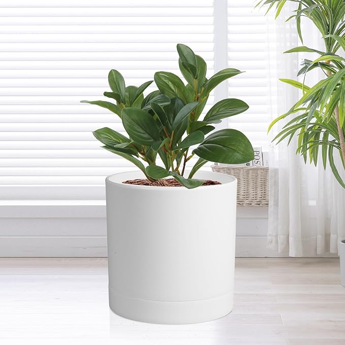 6/5/4 inch Flower Pots, Pack of 3 Cylinder Plant Pots for Small Indoor Outdoor Plants, Plastic Planters with Drainage Holes and Saucers for Garden Succulent Nursery House Plants, White Meowell