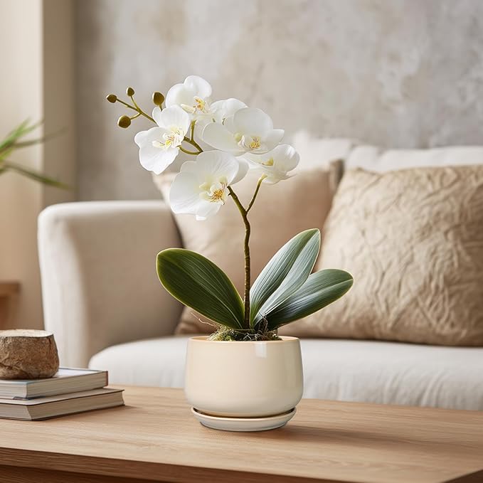G EPGardening 4 inch Plant Pots - Ceramic Planter with Drainage Hole & Saucer, Small Plant Pots for Indoor Outdoor, Round Succulent Pot, Modern Decorative Flower Pot, Desk Decor, Garden Gifts, Beige GEPGardening