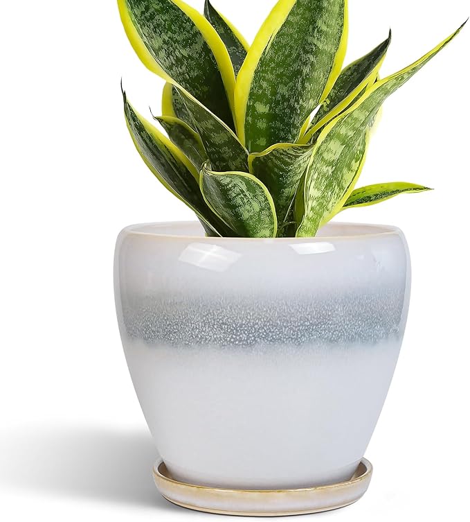 Ceramic Plant Pot - 6 Inch Ceramic Pots for Indoor Outdoor Plants, Decorative Planter with Drainage Hole and Saucer, Modern Plant Pots, Bedroom Room Decor, Plant Lover Gifts, White-Grey EPFamily