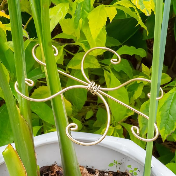 Durable Monstera Plant Support Hooks 5.5in - 5-Piece Set for Indoor Plant Stabilization, Easy-to-Use Grapple Holders for Monstera and Turtle Shell Plants for Plant Lovers Yohsnor