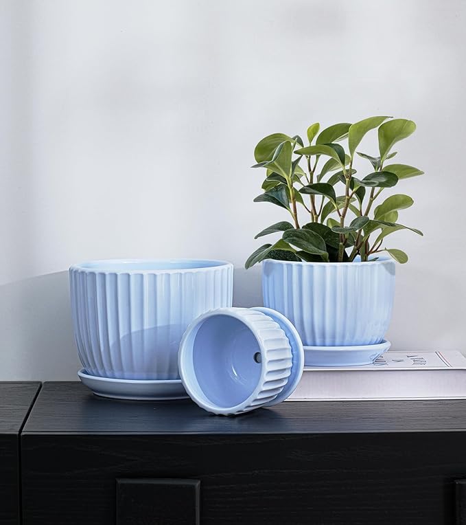 Ton Sin Sky Blue Ceramic Flower Pots, 4"+5"+6" Inch Small Succulent Planters with Drainage Hole,Modern Indoor Decorative Plant Pots Set of 3,Garden Pots with Saucer(Blue) TonSin