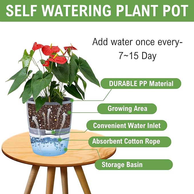 6Inch Self Watering Planter Pots 4 Pack Plant Pot for Indoor Wicking Flower Pots Plant Pots Modern Decorative Planter for Small African Violets House Plants,Herbs,Indoor Outdoor Plant (White) Thorkok