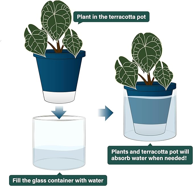 D'vine Dev 6 Inch Design Self Watering Planter for Indoor Plants, Blue Terracotta Pot with Cylinder Glass Cup, Set of 2, 37-Y-B-4 DvineDevPlanterPotsandStand