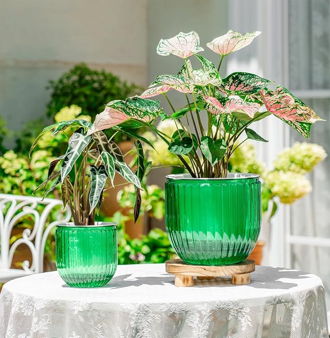 Melphoe Self Watering Pots for Indoor Plants Planter, 8.3/5.3 Inch 2 Pack Planters Self Watering Plant Pots for Flower, Houseplants, Succulent, African Violets and Cactus with Drainage Melphoe