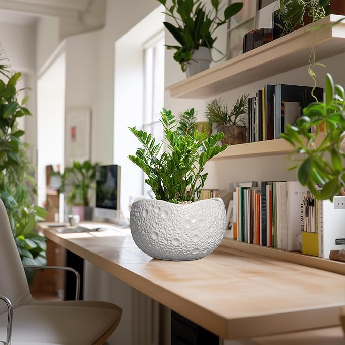 10 Inch Plant Pot - Ceramic Planter for Indoor Outdoor, Round Bonsai Pots, Decorative Flower Pots with Drainage Hole, Modern Unique Planters, House Decor, Home Gifts, White Thirtypot