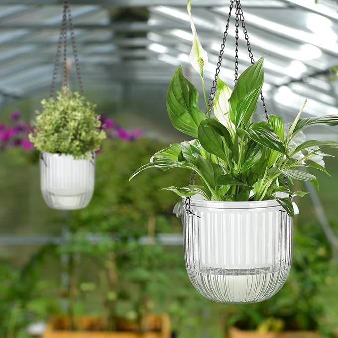 Maxcheck 4 Pcs Self Watering Hanging Planters Indoor Gift 6.5'' 4.5'' Hanging Flower Pots Baskets Outdoor Self Watering Plant with 3hooks Drainage Holes for Home(Clear) Maxcheck