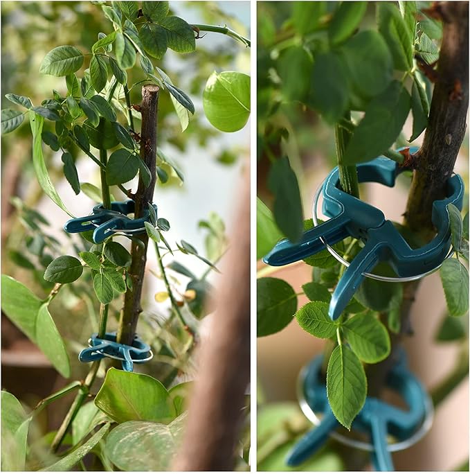 Plant Support Clips, 80 PCS Gentle Flower Plant Clamps for Supporting Vine Climbing Plants, Gardening Lever Loop Gripper Clips Help Stems Vines Grow Straight Upright, 2 Sizes in one Pack PERSZEN