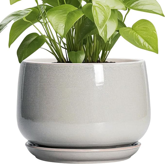 G EPGardening Ceramic Plant Pots - 9 Inch Ceramic Planters for Indoor Outdoor Plants, Modern Flower Pots with Drainage and Saucer, Round Planter, Garden Home Decor, Plant Lover Gifts, Light Grey GEPGardening