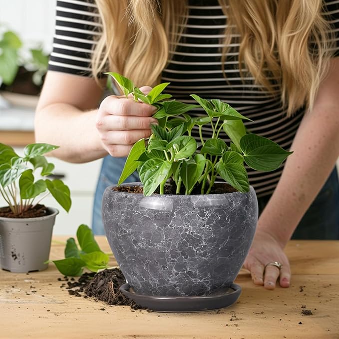 Ceramic Planter - 6 Inch Plant Pot with Drainage Hole and Saucer, Succulent Pot Glaze Round Flower Pot for Indoor Outdoor Plants, Gray Ceramicfor