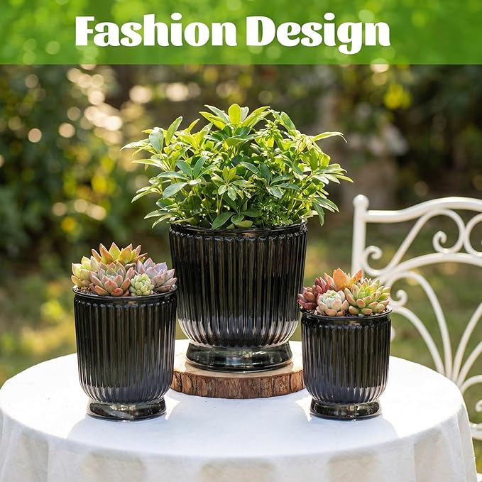 Set of 6 Self Watering Plant Pot 3 Sizes Plastic Double Layer Self Watering Flower Pot with Multi Mesh Drainage Holes Wicking Reservoir for Indoor Outdoor Garden Plants(Black) Rootora