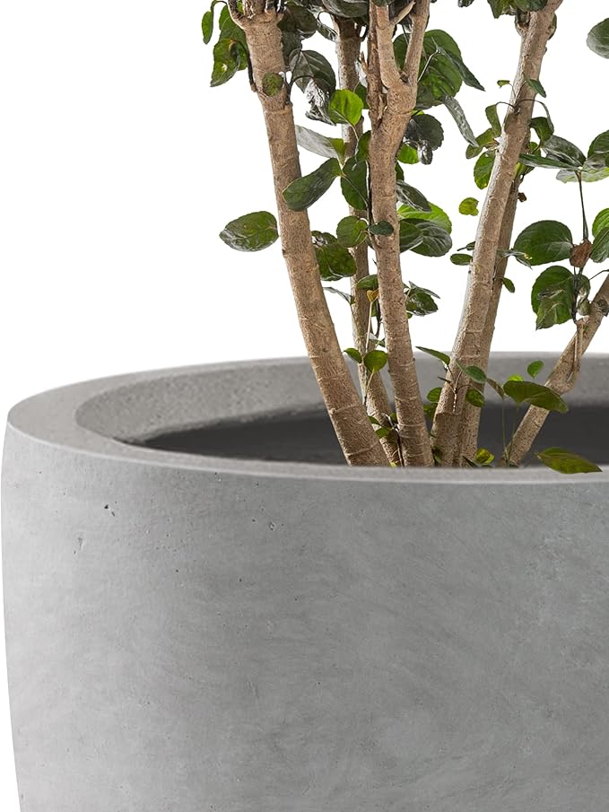 Kante 16.5" Dia Round Concrete Planter, Large Outdoor Modern Indoor Decorative Plant Pots with Drainage Hole and Rubber Plug for Home and Garden, Natural Concrete Kante