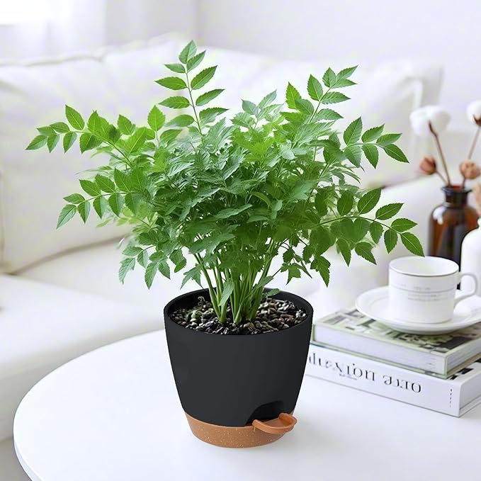 6-Pack Plant Pots with Drainage 7 Inch, Self Watering Pots for Indoor Plants, Planters for Indoor Outdoor Plants, Plastic Flower Pot, Planter for Indoor Outdoor (Black) Rootora