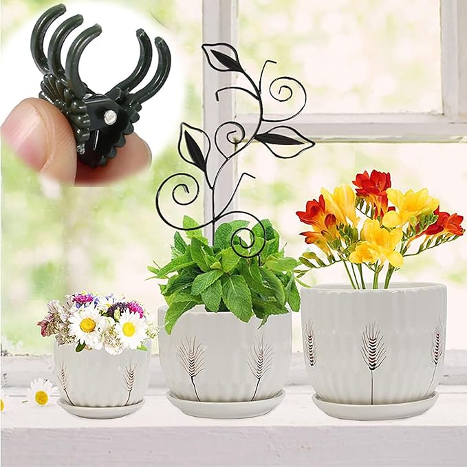 Decorative Metal Plant Trellis for Indoor Potted Plants – Leaf Shape Vine Support Stakes with 6 Plant Clips, Black/Green/Gold Garden Trellises for Climbing Plants, Vines (Black 1pc) Rootora