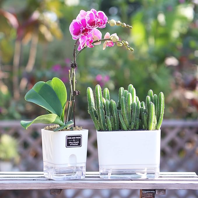 FAMZ Self Watering Planters 4 Pack，Self Watering Pots for Indoor Plants，Automatic Moisturizing，Transparent Square Flower Pot for Indoor and Outdoor Plants，Succulents，Violets，Ivy FAMZ