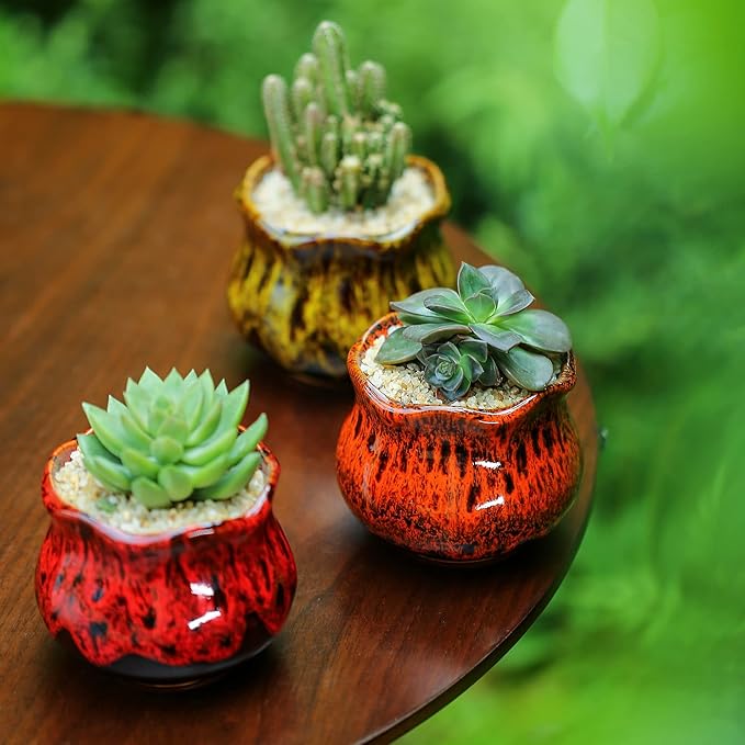 Cute Ceramic Succulent Planters, Garden Pots with Drainage and Attached Saucer, Set of 6 - Plants Not Included Fulloog