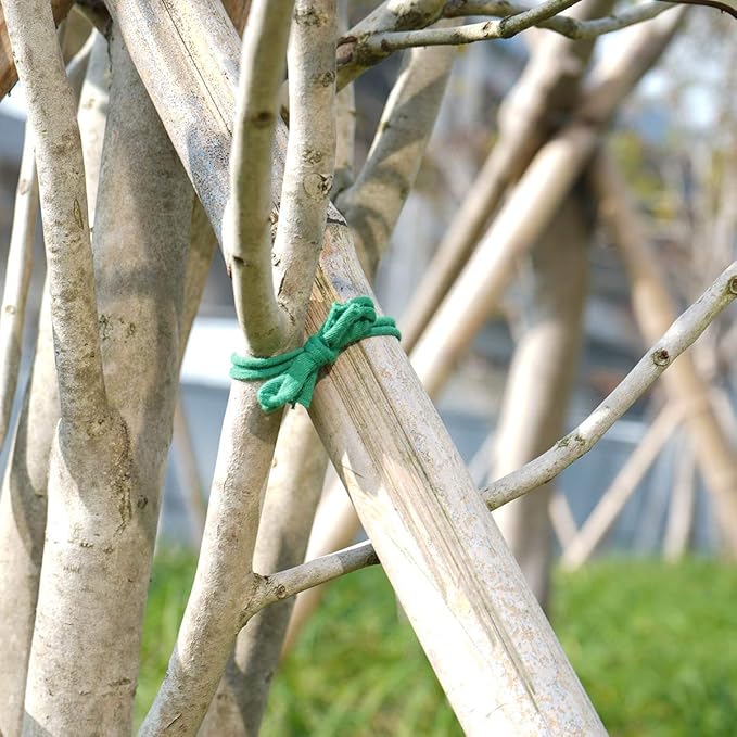 Decoroca Degradable Soft Green Garden Twine - 98FT Environmentally Smart Plant Ties, Stretchable Plant Wire, Multi-use Craft String (2 Pack) Decoroca
