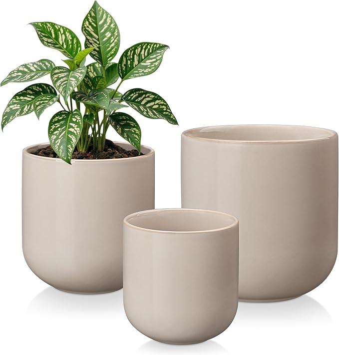 vancasso 6+8+10 inches Ceramic Plant Pots, Set of 3, Planters with Drainage Hole, Flower Pots Planters Pots for Indoor Plants, Modern Indoor Decorative Garden Pot, Home Decor, Gray vancasso