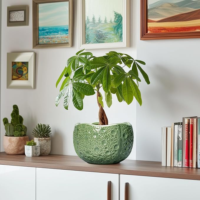 8 Inch Plant Pot - Ceramic Pots for Plants with Drainage Hole, Round Decorative Plant Pots for Indoor Outdoor, Modern Unique Flower Pot, Office Decor, Garden Gifts, Green Thirtypot