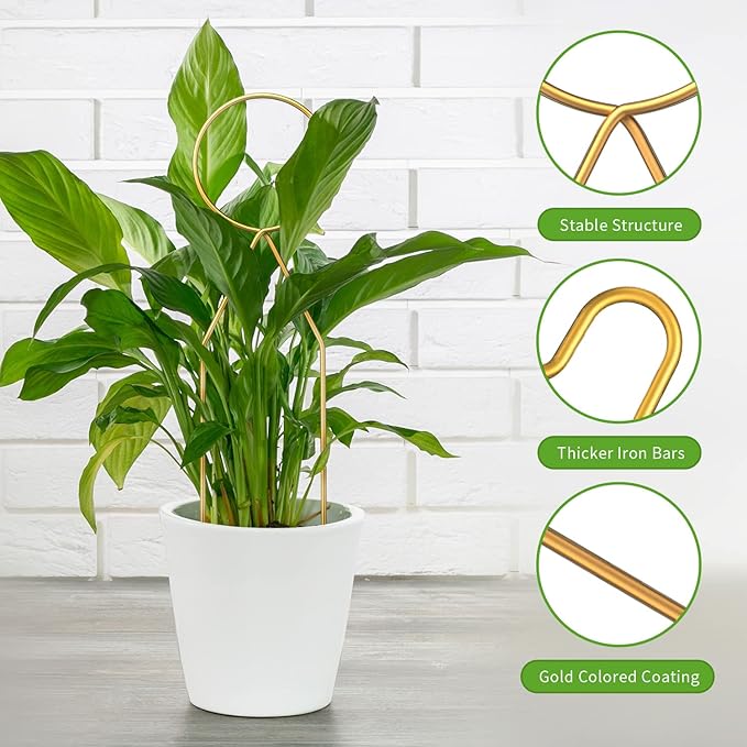 4 Pcs Small Metal Trellis for Potted Plants,Gold Trellis for Climbing Plants Indoor,Small Trellis for Potted Plants Support Stake House Plant Trellis for Garden Potted Plant,Hoya,Pothos,Flower Rootora