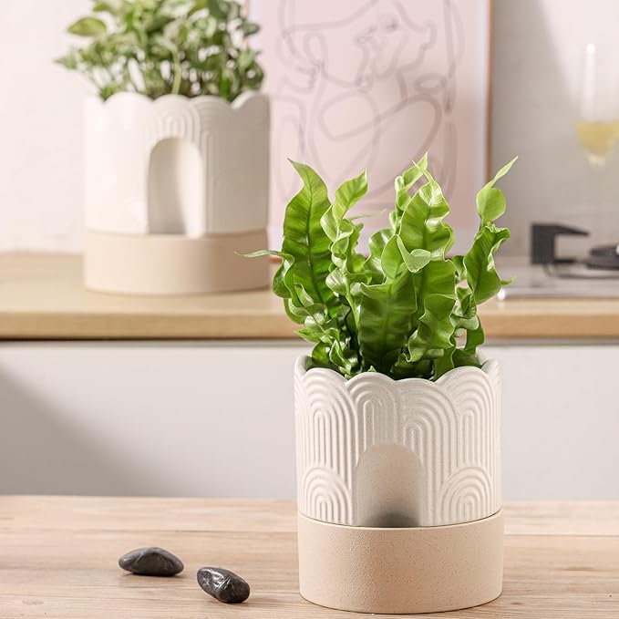 Nihow Self Watering Plant Pot for Indoor Plants : 6 Inch & 8 Inch Ceramic Planter with Drainage Hole & Water Storage - Relief Design Beige & Nature Flower Pot -Set of 2 Nihow