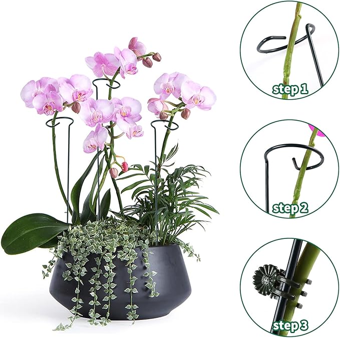 12 Pack Plant Support Stakes with 24 Pcs Plant Clips, Garden Single Stem Support Stake, Plant Cage Support Ring for Indoor Outdoor Flowers Rose Amaryllis Tomatoes Peony Lily Orchid (16 Inch) Auaok