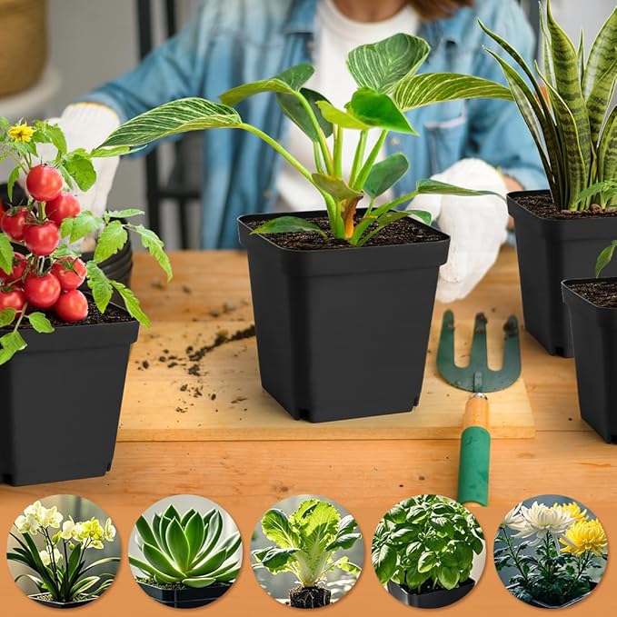 Square Nursery Pots 5.5 Inch, Plastic Plant Pot with Drainage Holes, 30 Pcs Reusable Seedling Starter Pots Garden Flower Pots Planters for Indoor Plants, Transplanting, Succulents, Cuttings RooTrimmer
