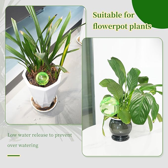 6pcs Large Plant Self Watering Globes, 17.5 oz Plastic Water Bulbs Top Fill, Plant Watering Devices System Slow Release Terracotta, Water Spikes Stakes for Indoor(6pack) GEWOSI
