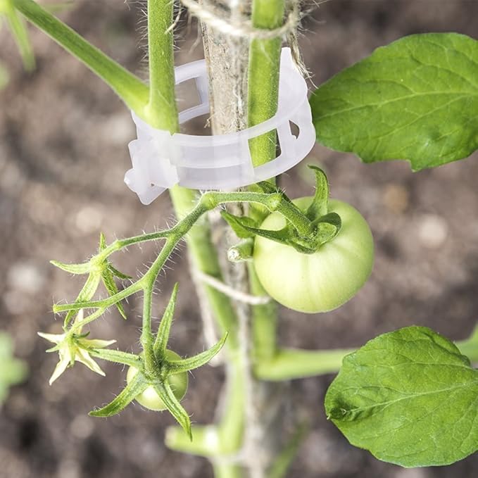 KINGLAKE Plant Support Garden Clips,Tomato Vine Clips,Tomato Trellis Clips 200 Pcs for Vine Vegetables Tomato to Grow Upright and Makes Plants Healthier KINGLAKE