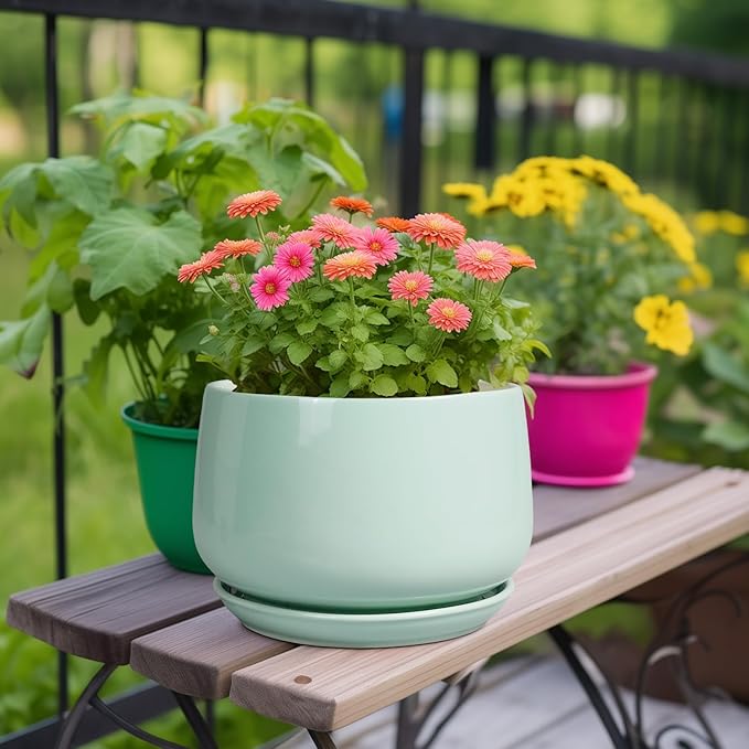 G EPGardening Ceramic Pots for Plants - 9 Inch Ceramic Planter with Drainage and Saucer, Round Planter for Indoor Outdoor Plants, Modern Flower Pots, Garden Decor, Birthday Gifts, Green GEPGardening