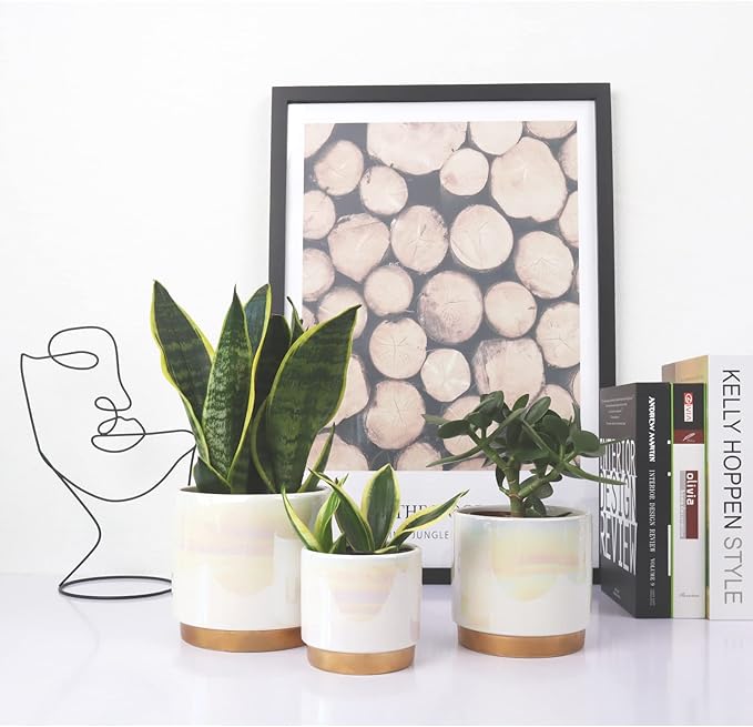 Gepege White Indoor Pots for Plants, Ceramic Planter with Drainage Hole, 6.0 inch+5.0 Inch+4.0 Inch. Succulent Orchid Flower Pot - Rainbow Pearl Glaze Gepege