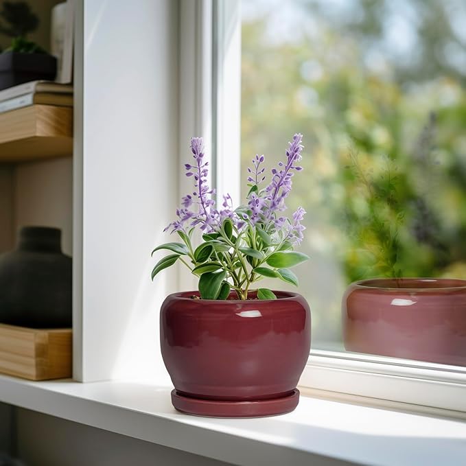 SQOWL 6 Inch Plant Pot - Ceramic Planter for Indoor Plants Outdoor, Round Planter with Drainage Hole and Saucer, Decorative Modern Small Flower Pots, Room Decor, Gifts for Plant Lovers, Red SQOWL