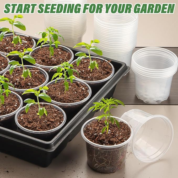 Clear Seedling pots 100-Pack 3.2 Inches Round for Seeds Starter Pots, Seeds Germination Transparent Clean Pots with Drainage Holes(100 Pcs, 3.14Inch) RooTrimmer