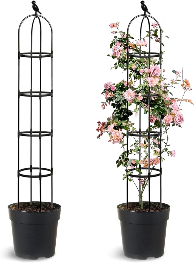 2 Pack Trellis for Climbing Planting Outdoor, 6ft Plant Trellis-Rustproof Metal Pipe with Heavy Duty Plastic Coated, Potted Plant Support for Clematis Vine Jasmine Support Anothera