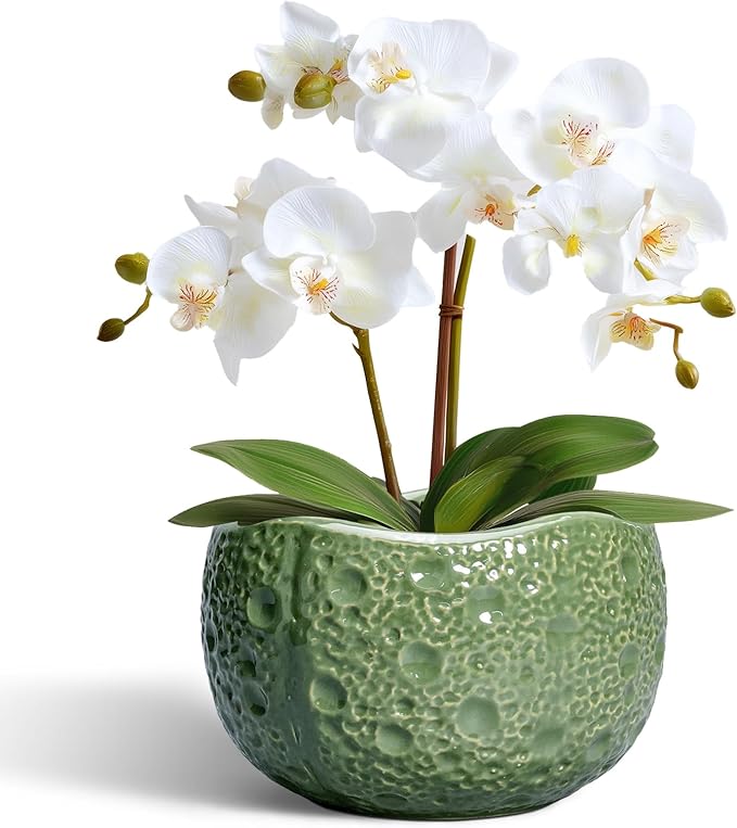 6 Inch Plant Pot - Orchid Pot with Drainage Hole, Ceramic Planter for Indoor Outdoor, Decorative Plant Pots, Modern Round Unique Flower Pots, Living Room Decor, Gifts for Women Men, Green Thirtypot