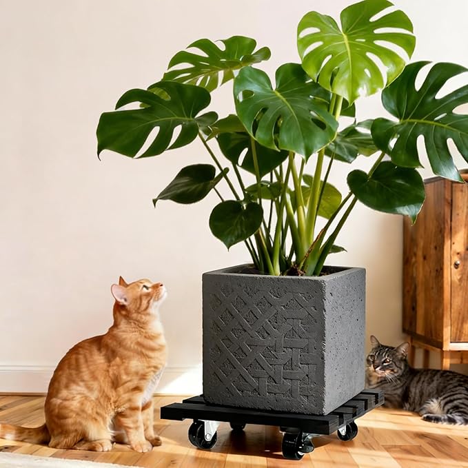 2 Pack Plant Stand with Wheels, Plant Caddies with 360° Lockable Smooth Sliding Wheels Durable Sturdy, Outdoor/Indoor Heavy Duty Rolling Plant Stand for Plant Pot,Flower Pot (11" Black Square) DecorateYourRoomwithCuffUpFarmhouseHomeDecor