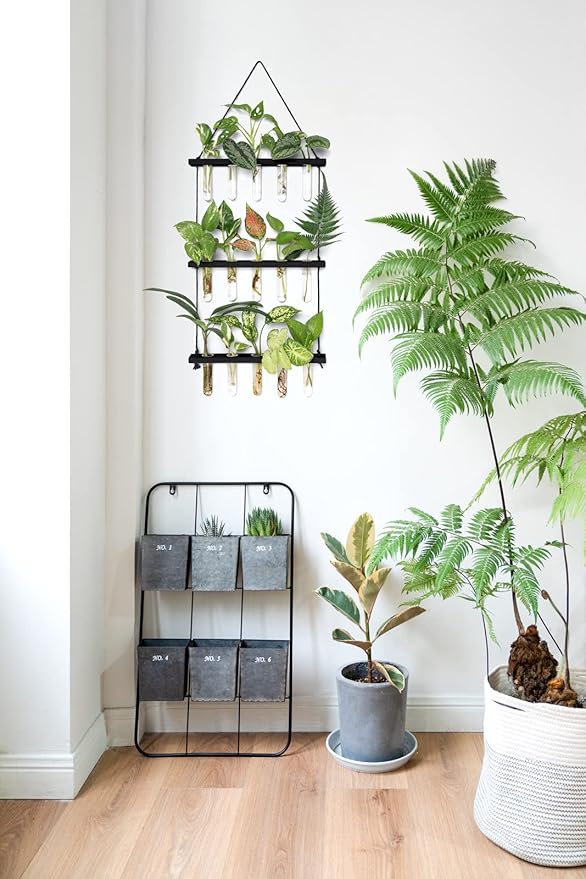 Mkono 3 Tiered Wall Hanging Plant Terrarium with Wooden Stand Mini Test Tube Flower Vase Glass Planter for Hydroponic Plant Cutting Home Garden Office Decor Gift Mkono