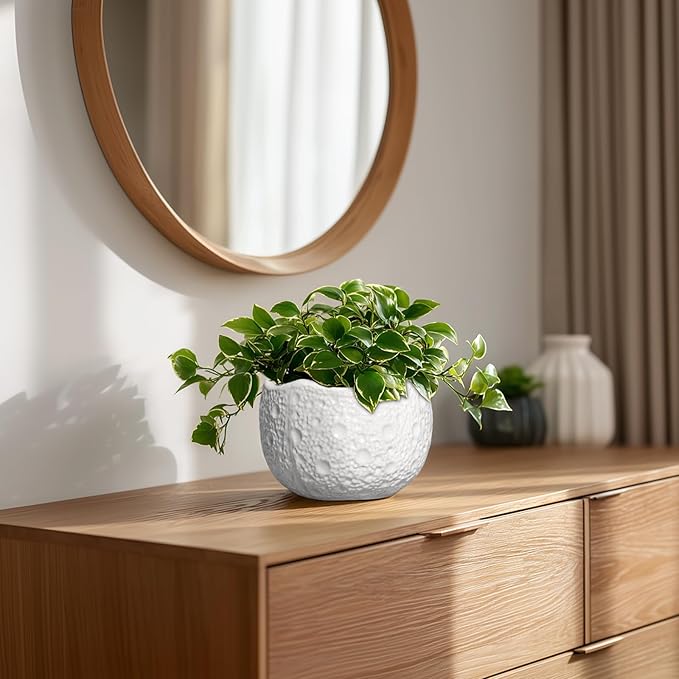 Ceramic Pots for Plants - 6 Inch Plant Pot for Indoor Outdoor, Decorative Orchid Pots with Drainage Hole, Unique Round Modern Planters, Home Decor, Gifts for Plant Lovers, White Thirtypot