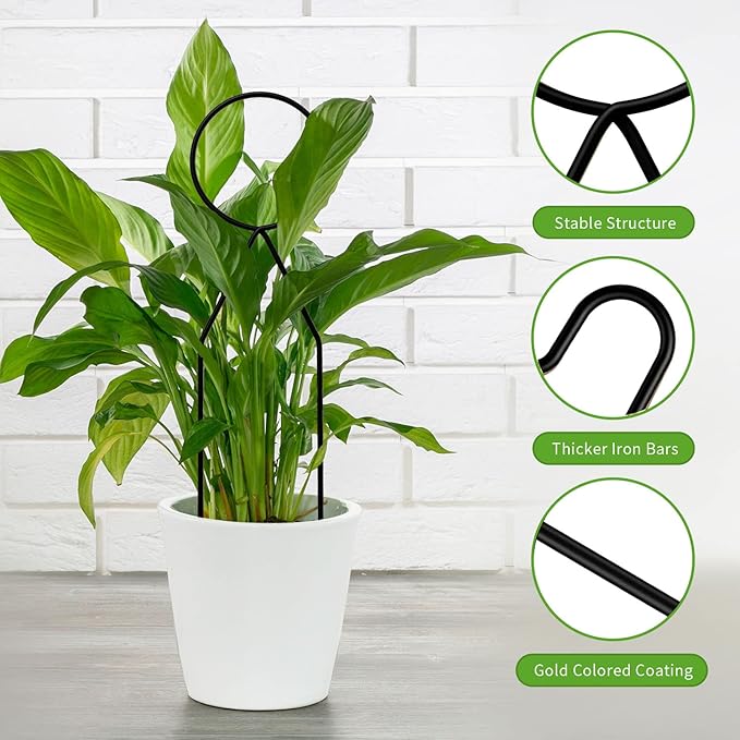 4 Pcs Small Metal Trellis for Potted Plants,Gold Trellis for Climbing Plants Indoor,Mini Trellis for Potted Plant Support Stake House Plant Trellis for Garden Potted,Hoya,Pothos,Flower,Monstera(Black) Rootora