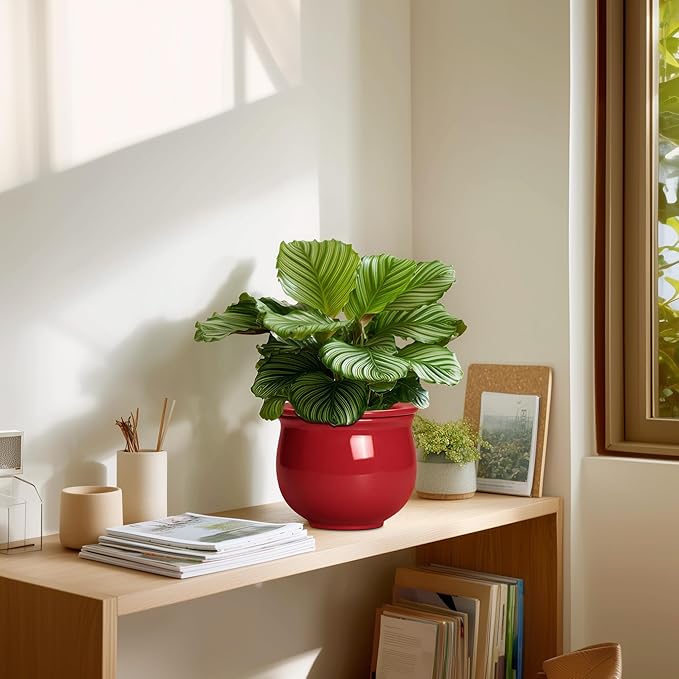 Ceramic Self Watering Planter, 6 Inch African Violet Pots with Absorbent Inner Pot, Round Self Watering Pots, Ceramic Flower Pot for Plants Indoor, Porch Decor, Plant Lover Gifts for Men, Red Teagas