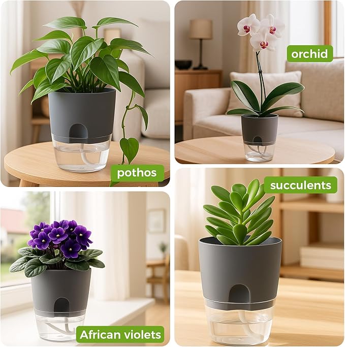 3 Pack Self Watering Pots for Indoor Plants, PlanterHoma 6 Inch Plant Pot Plastic Self Watering Planter for Orchid, African Violet, Small Clear Flower Pots with Drainage Holes and Wicking Rope, Grey Planterhoma