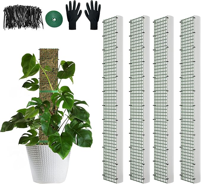 60"/40"/24" Metal Moss Pole, D Shape Sphagnum Moss Pole, Moss Poles for Climbing Plants, Monstera, Indoor Climbing Plants(4Pcs 40") HOLANHING