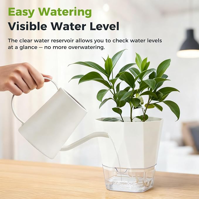 6 Pack Self Watering Pots for Indoor Plants, 5 Inches Self Watering Planters Small African Violet Self Watering Clear Pots for Plants Herb Orchid Flower Houseplant Pots, White Planterhoma