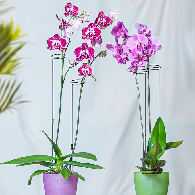 Mwellewm 6 Sets Plant Stakes 12/25/36 Inch Adjustable Plant Support Stakes Tall for Indoor Outdoor Plant Holder Stick Steel Garden Stem Pole Amaryllis Stakes with 30 Clip for Tomato Orchid Lily Flower Mwellewm